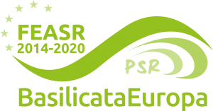 feasr-psr-2020