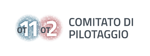 Comitato di Pilotaggio